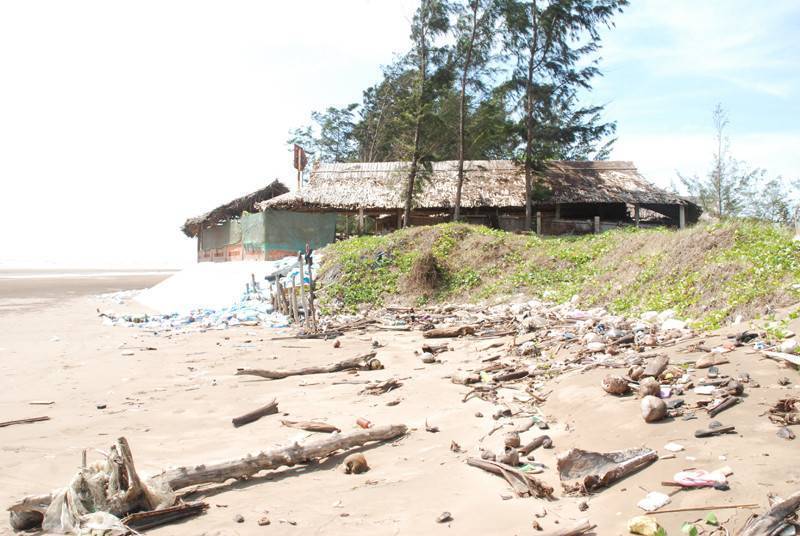 Thạnh Phú (Bến Tre): Sạt lở bờ biển nghiêm trọng, ảnh hưởng đến sinh kế người dân